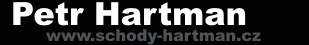 logotype